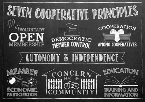 Principles of Cooperation 的图像结果