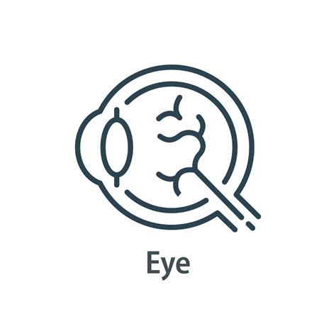 eyesight therapy,Human organ, eyeball side view,vision improvement ...