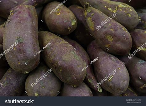 59 Yam Exportation Images, Stock Photos & Vectors | Shutterstock