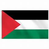 Palestine Flag 3x5 Outdoor - Black, White, Green and Red with Triangle ...