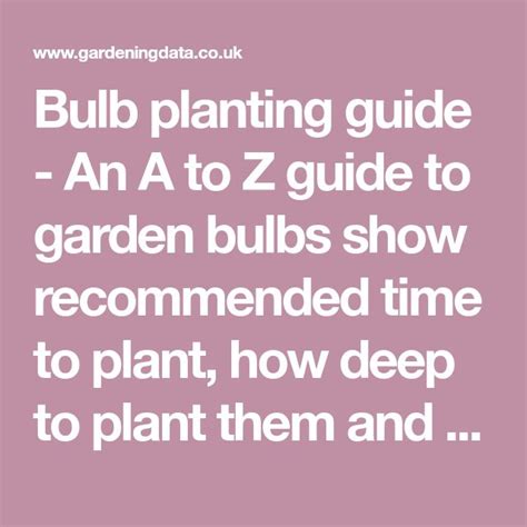 Image result for Bulb Planting Guide