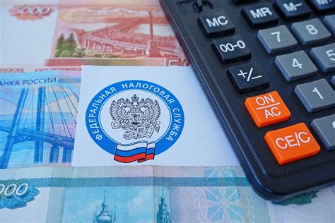 Виды налогов: какие бывают в России, примеры | РБК Инвестиции