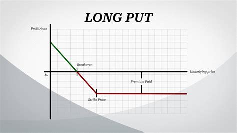 Options 101: Understanding Options Basics