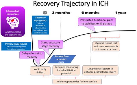 Pathophysiology of Intracerebral Hemorrhage: Recovery Trajectories | Stroke