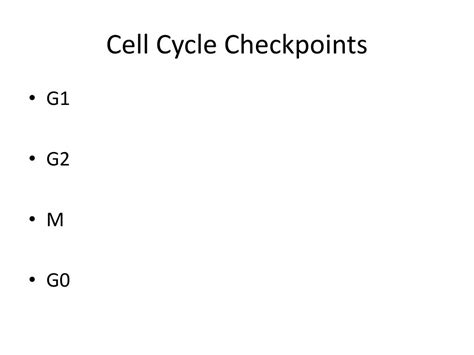 Cell Cycle Checkpoints 的图像结果