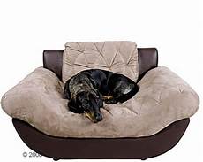 divanetti per cani divano per ecco alcuni modelli tutto ze divanetti per cani divano per ecco alcuni modelli tutto ze