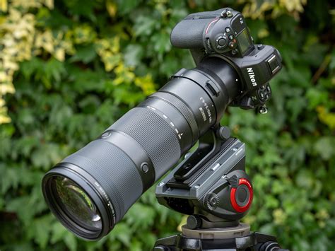 Nikon Z 180-600mm f5.6-6.3 VR review | Cameralabs