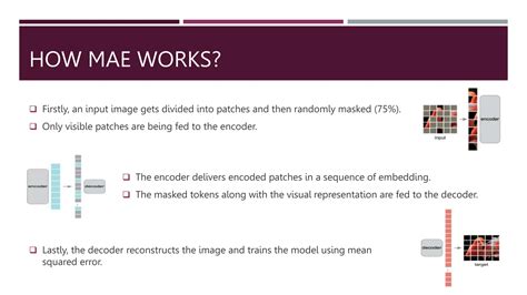 Mae Deep Learning 的图像结果