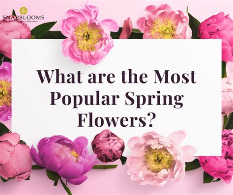 Image result for Popular Spring Flowers