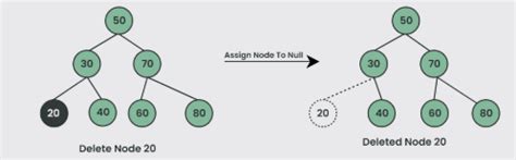 Binary Trees - HPTU Exam Helper