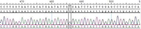 Image result for Simplex Problem Solving Method