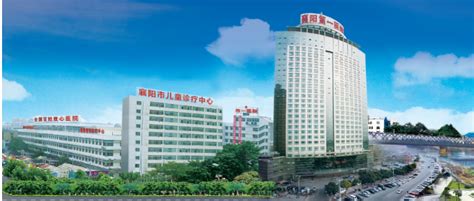 襄阳市第一人民医院 - 武汉雕龙数据科技有限公司