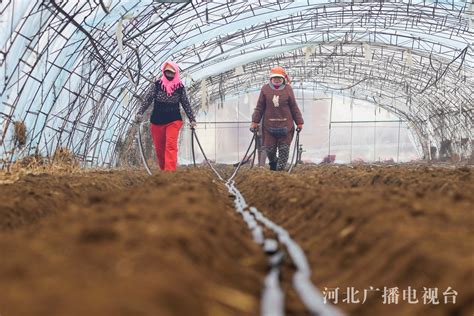 【奋进的春天】唐山丰南：抢抓农时播种忙