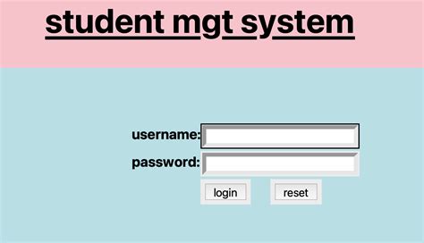 Python Management System Project 的图像结果