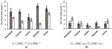 Comparison of the Waterlogging Tolerance and Morphological Responses of ...