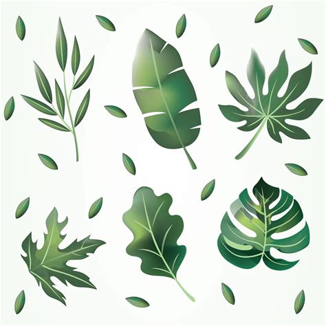 Green Leaves Clipart Vector Pack 358885 Vector Art at Vecteezy