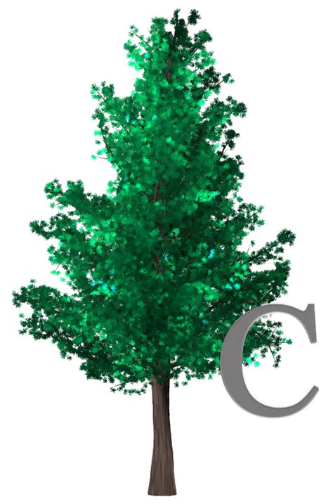 Traditional Services | Chaput-Buoy Funeral Home & Cremation Services