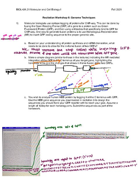 Molecular Modeling Recitation Submission