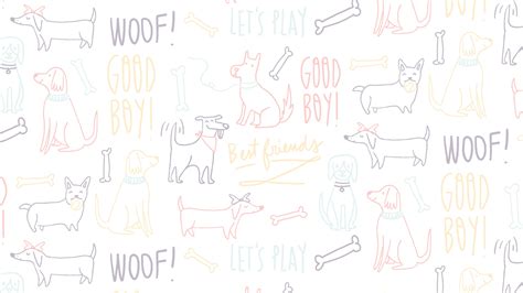 Home - Meadowbrook Veterinary Clinic of Peoria, P.C.