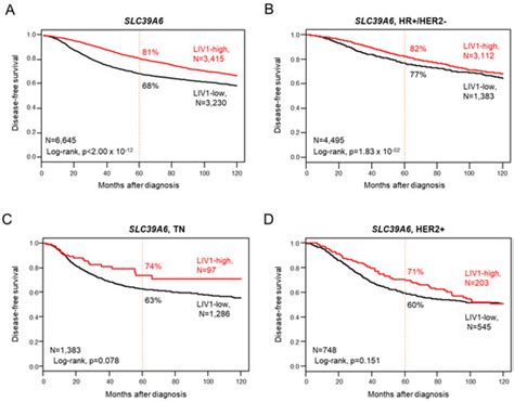 Prognostic and Predictive Value of LIV1 Expression in Early Breast ...