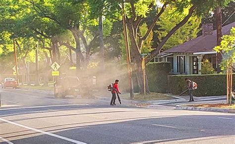 States and towns consider banning gas-powered leaf blowers and lawn mowers Minimalist