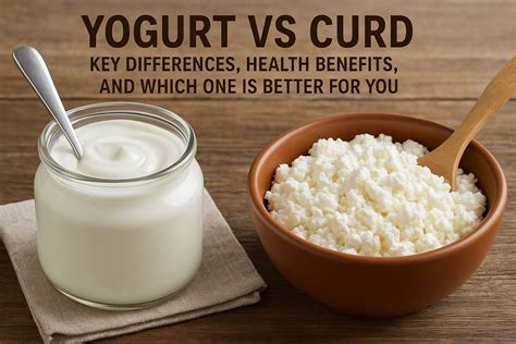 Yogurt vs Curd: Key Differences, Benefits & Nutrition Guide