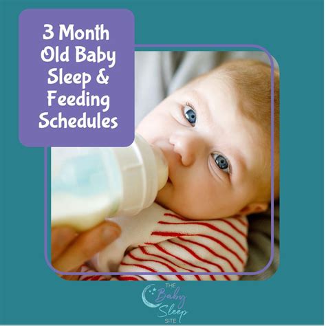 2 Month Old Baby Schedule | Sample Schedules | Baby Sleep Site