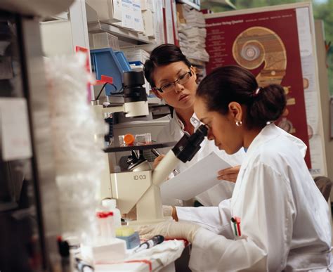 Gender gaps remain for many women scientists, study finds