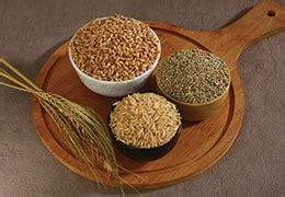 Health & Nutrition Articles for Kids and Parents | AskNestlé