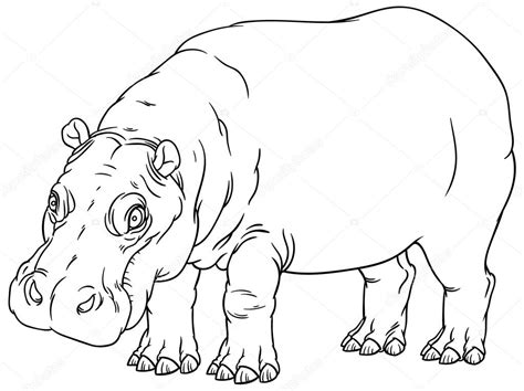 Hand drawing outline illustration of hippo Stock Vector Image by ...