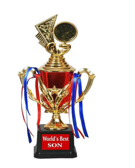 Gift for Son | Best Son in The World Printed Golden Award Trophy Gift ...