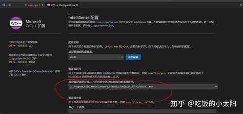 Setting JSON CMake Vscode 的图像结果