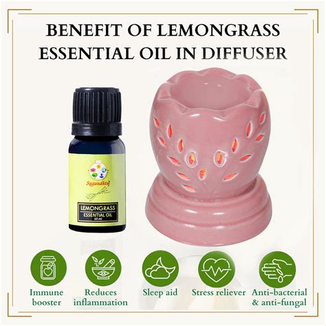 Charming Pink Ceramic Electric Diffuser with Lemongrass Oil - Sugandhim