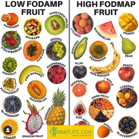 Low Fodmap Vegetables - Chefinoz