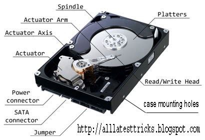 Image result for Local Disk