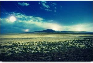 Jungle In Full Moon Night Paper Print - Nature posters in India - Buy ...