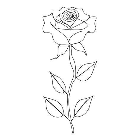 Image result for Use API in Code