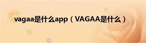 Vagaa是什么_新时代发展网