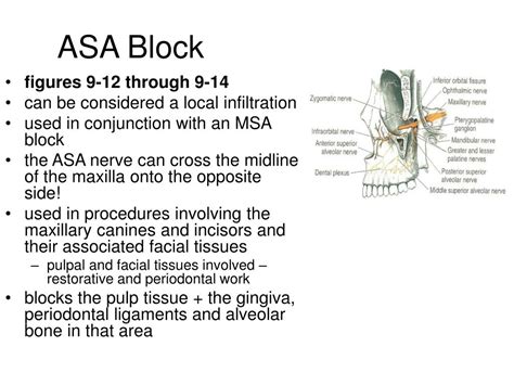 Administration of Local Anesthesia 的图像结果