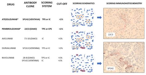 Cancers | February-2 2023 - Browse Articles