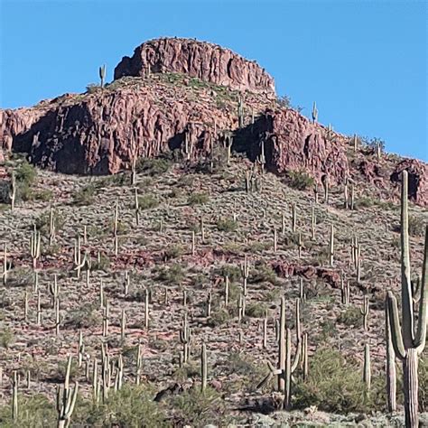 Peralta Regional Park Primitive Remote Campsites | Gold Canyon, Arizona