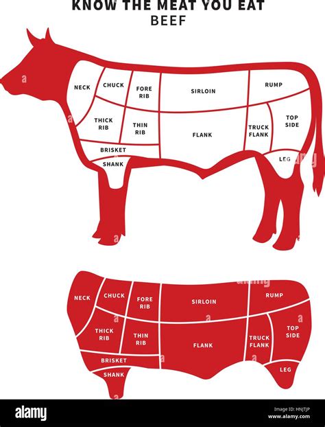 Beef Anatomy Diagram _ Cow Ribs Diagram – PUQRD