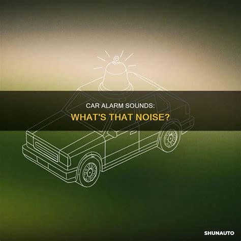 Car Alarm Sounds: What's That Noise? | ShunAuto