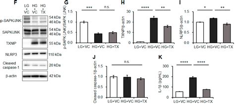Taxifolin Suppresses Inflammatory Responses of High-Glucose-Stimulated ...