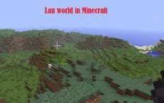 Image result for How to Fix Lan World Java Problem