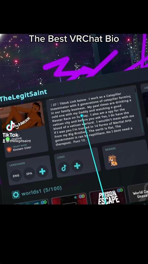 Best VRChat Bio Ever Made - One News Page VIDEO