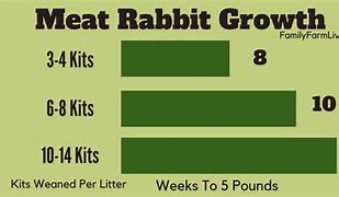 Image result for Rabbit Growth Chart
