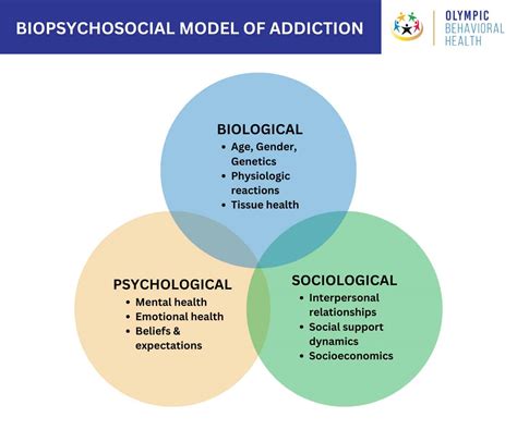 Causes of Addiction: Biopsychosocial Model, Personality Theories and ...