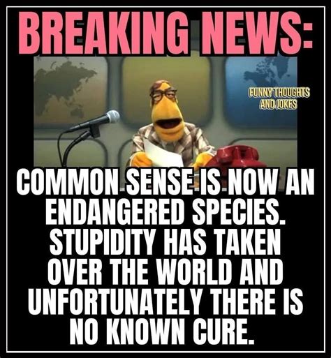 Breaking News Local Meme 的图像结果