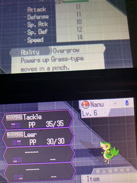 Why Is Called Nuzlocke